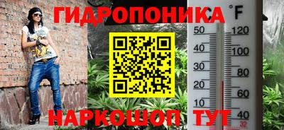 индика Обь