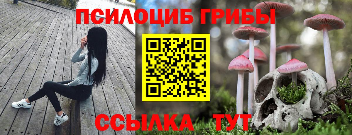 Сертолово  Псилоцибиновые грибы Magic Shrooms  Вход с VPN  Псилоцибиновые грибы Cubensis 
