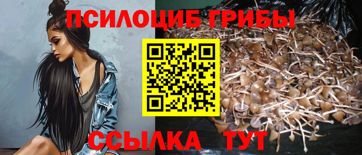 Галлюциногенные грибы мухоморы Сертолово